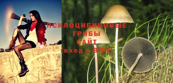 2c-b Елабуга