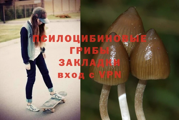 кокаин премиум Елизово