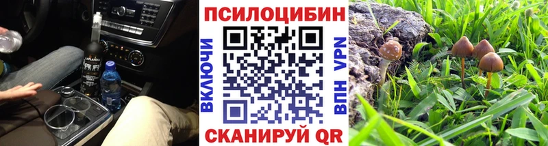 где можно купить   гидра сайт  Галлюциногенные грибы Magic Shrooms  Ивангород 